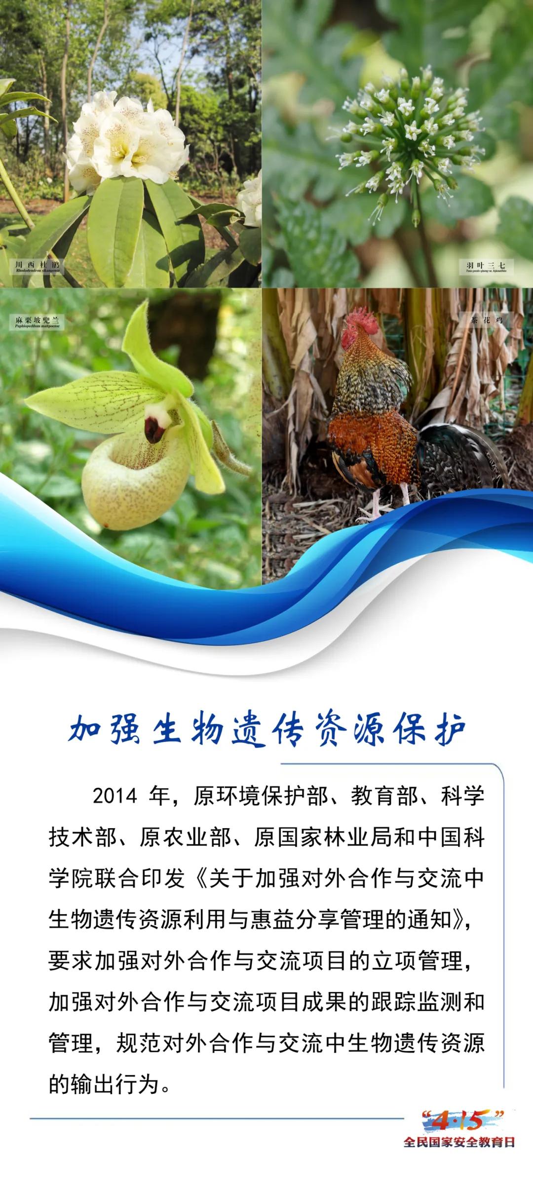 2024年4.15国家安全日宣传展板,2024年全民国家安全教育日展板