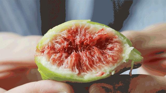 人送外号“树上糖包子”的无花果到底多好吃？