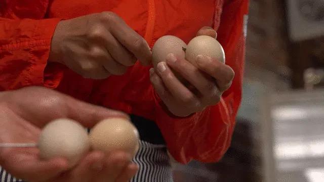 你学会了吗谐音,烧烤鸡蛋串