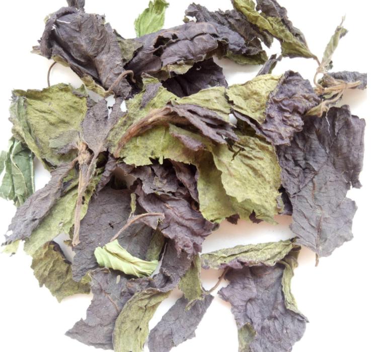 孕期与哺乳期禁用中药,哺乳期间能吃中药调理吗