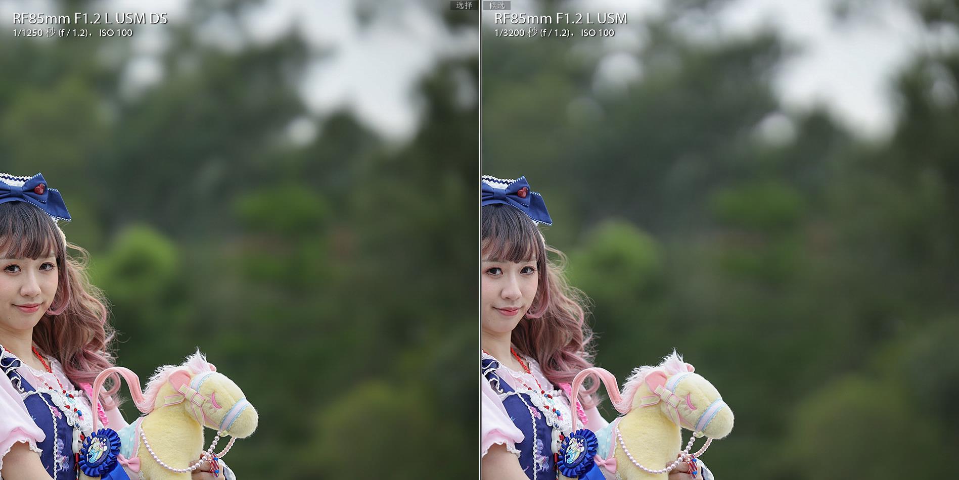 佳能大光圈人像rf镜头,佳能微距镜头rf100mm