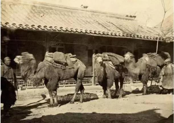 靖远职专简介,靖远职中简介