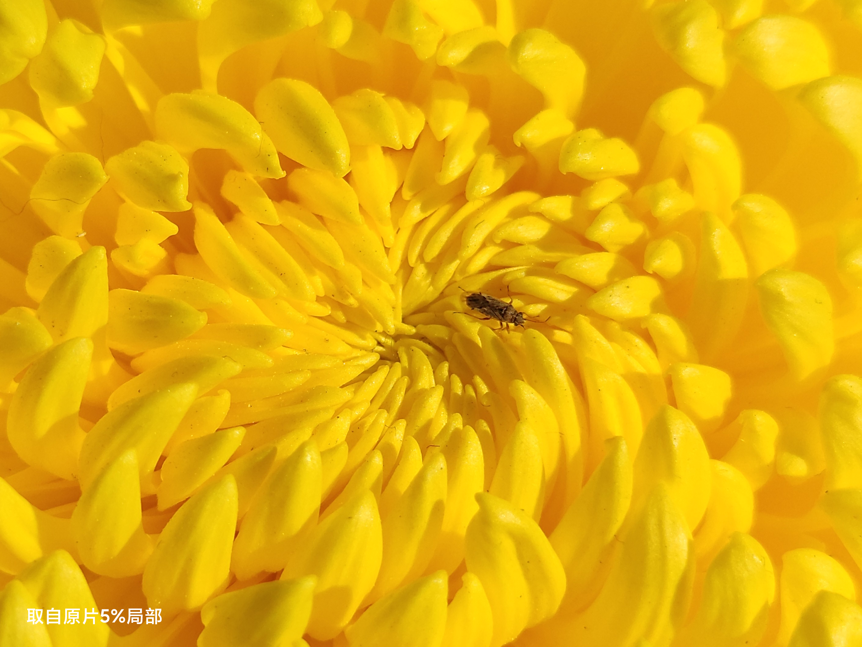 你进来，我给你好好讲讲1亿像素