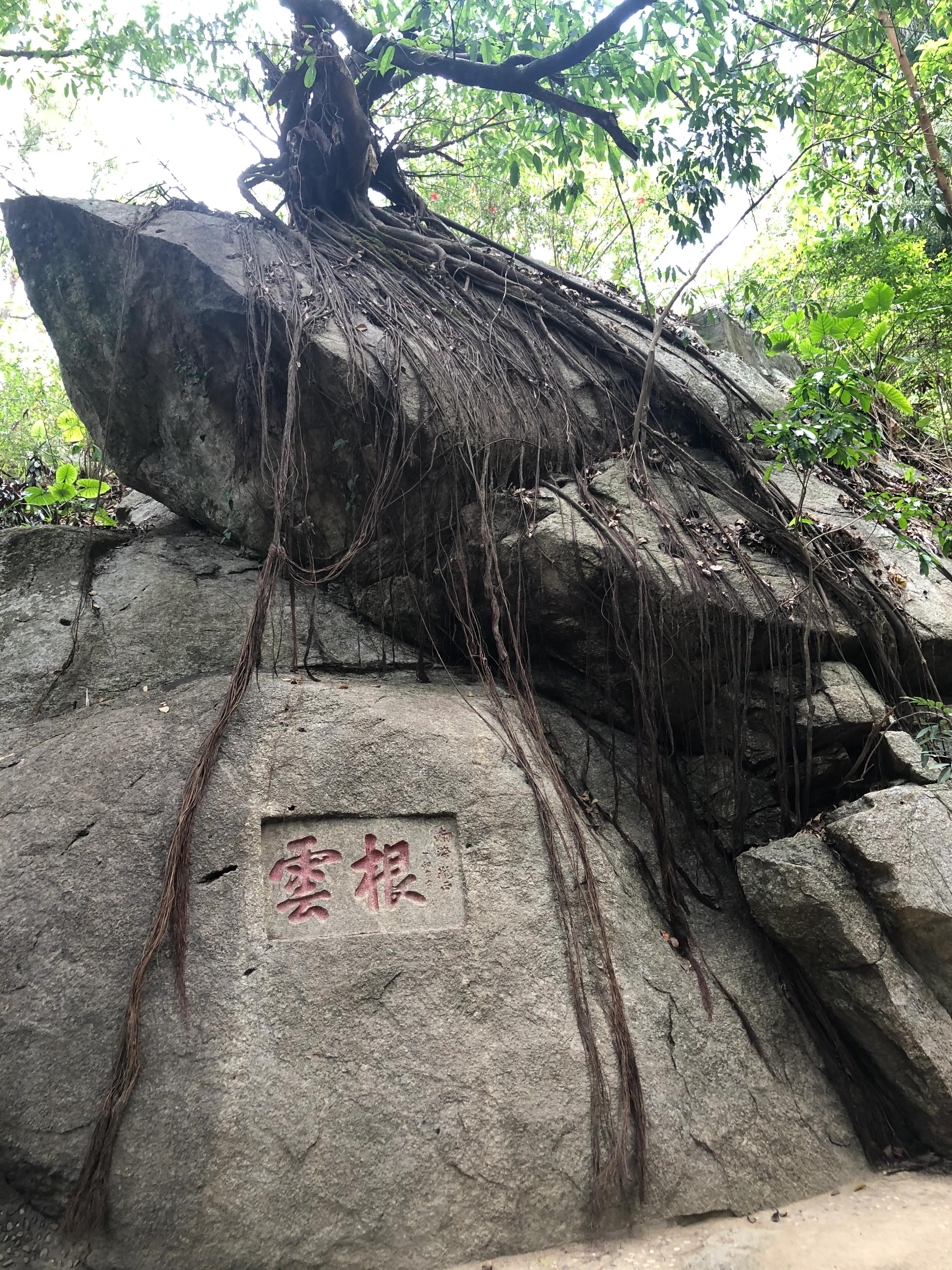 罗浮山一日游旅游景点,罗浮山一日游安排
