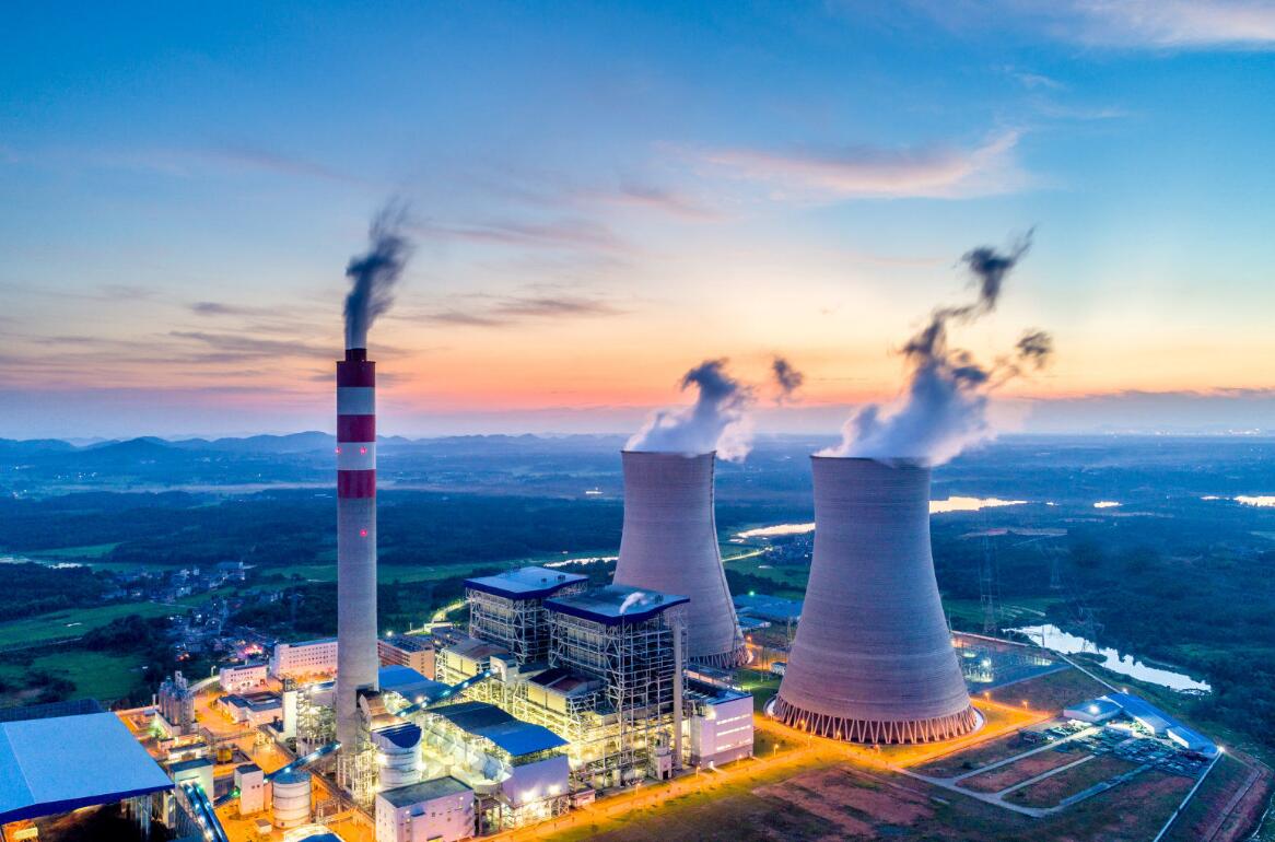 地球有史以来最大的蛇,地球上一千大最凶猛的蛇