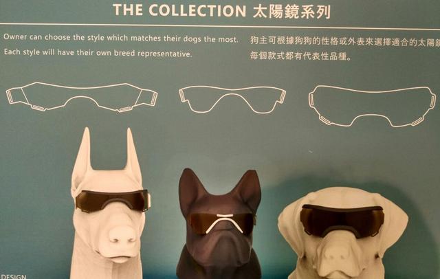 香港从什么年代开始繁华的,普通人第一次去香港感受