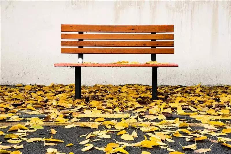 惊呆!33岁读深职!女生超级多多多!你学校呢?