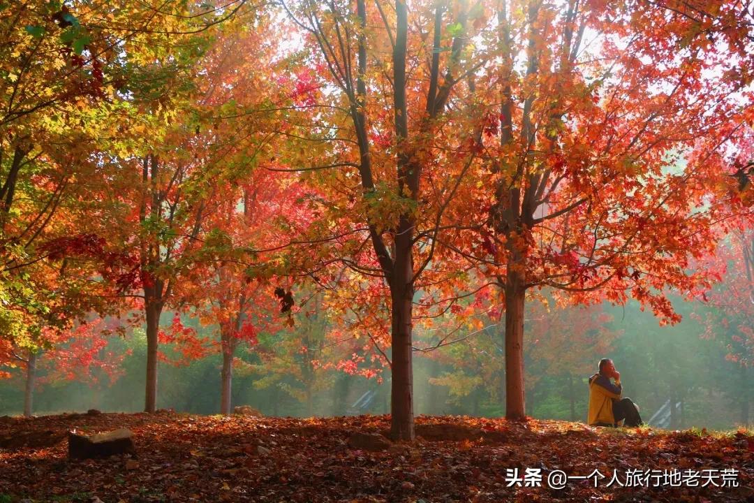 大连最浪漫的十个地方,大连浪漫景色