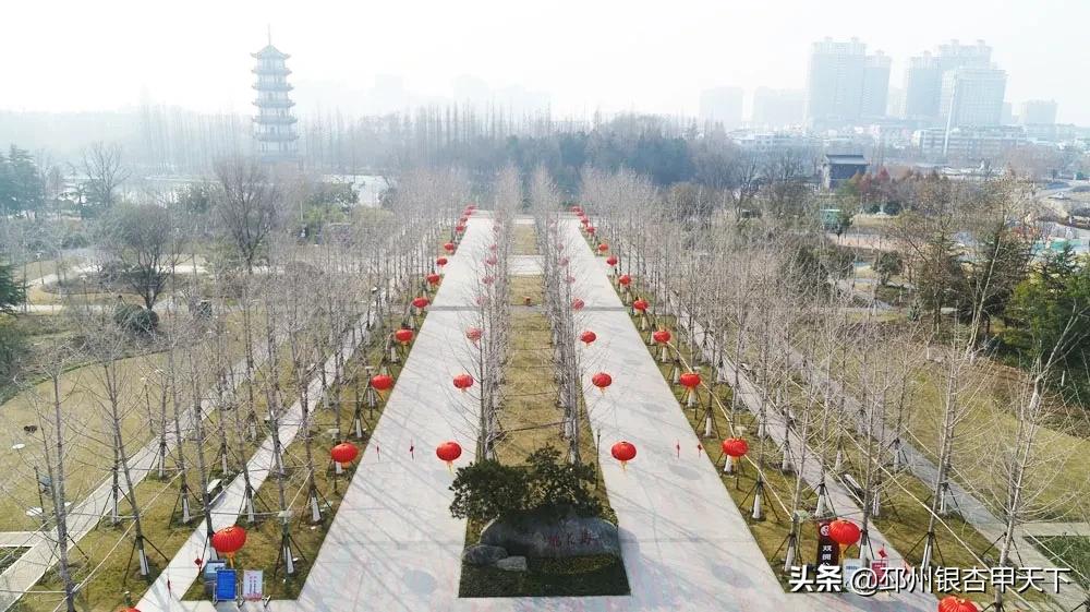 邳州空城视频,一样的金乡不一样的空城