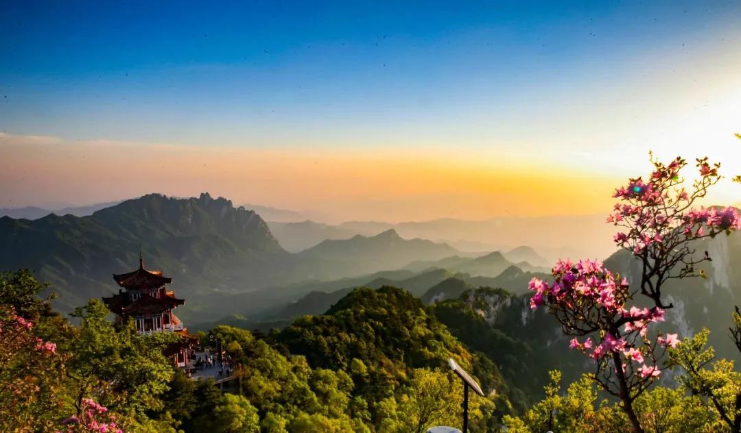 洛阳第三职专,洛阳第三季度gdp