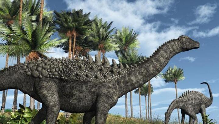 地球有史以来最大的蛇,地球上一千大最凶猛的蛇