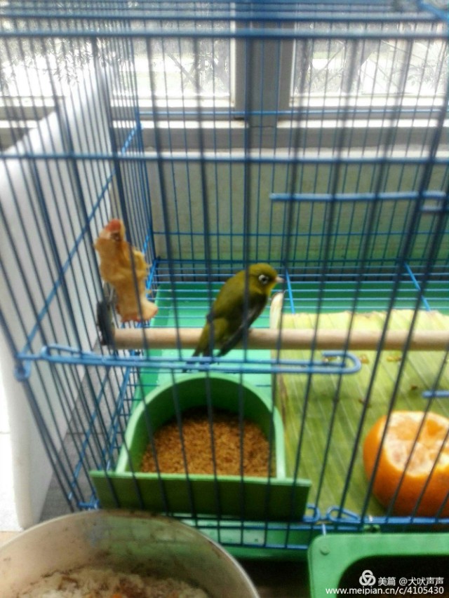 花甲后的新西兰自驾之旅（一）