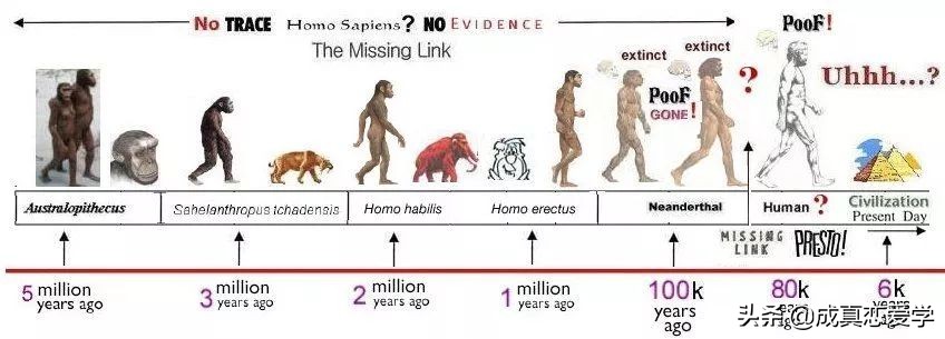想送喜欢的人礼物送什么好,想送喜欢的人礼物用什么理由好呢