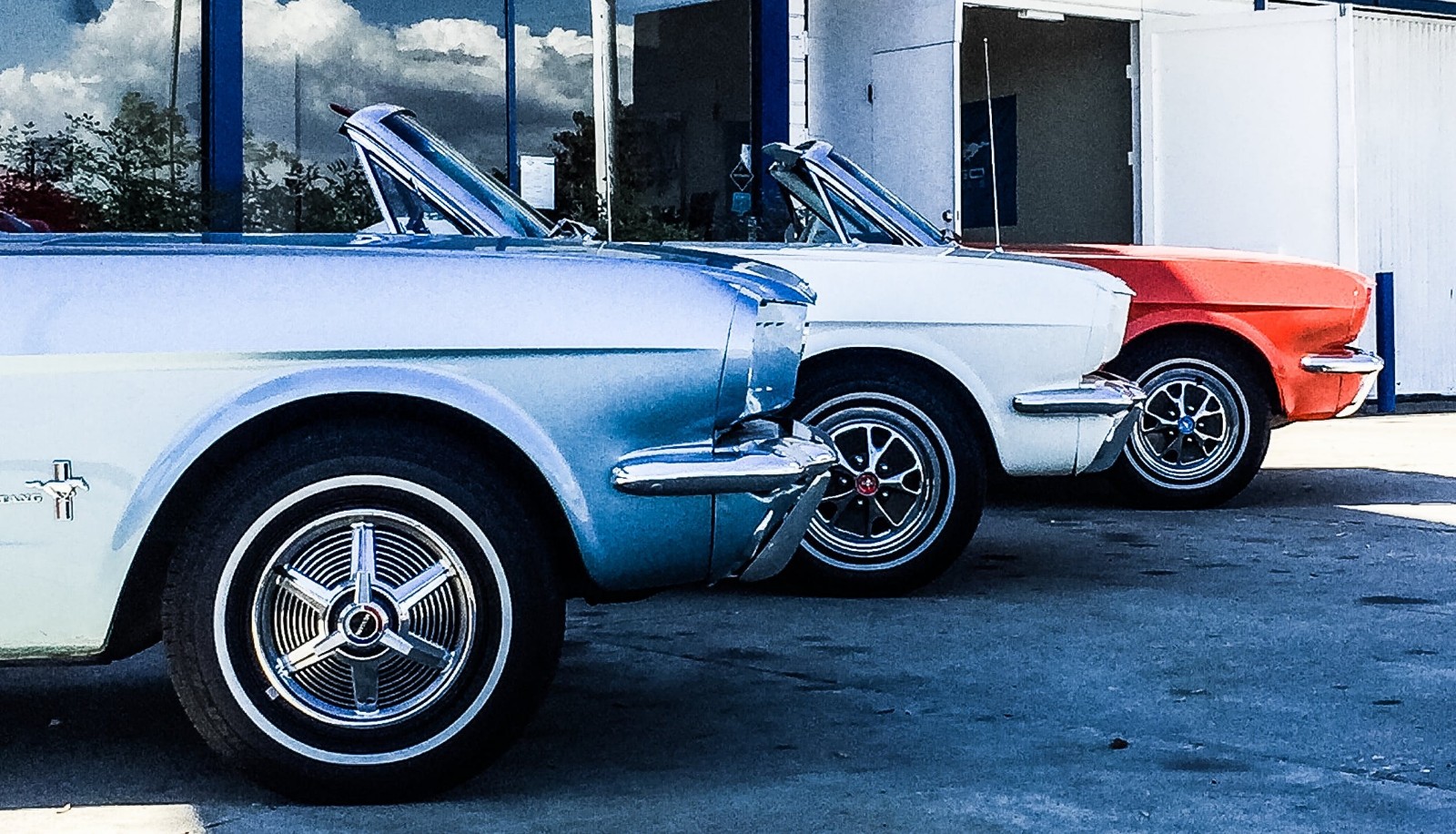 十二星座软肋是哪个星座,12星座的爱情占有欲到底有多强