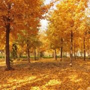 河北政法职业学院官网,河北政法职业学院招聘