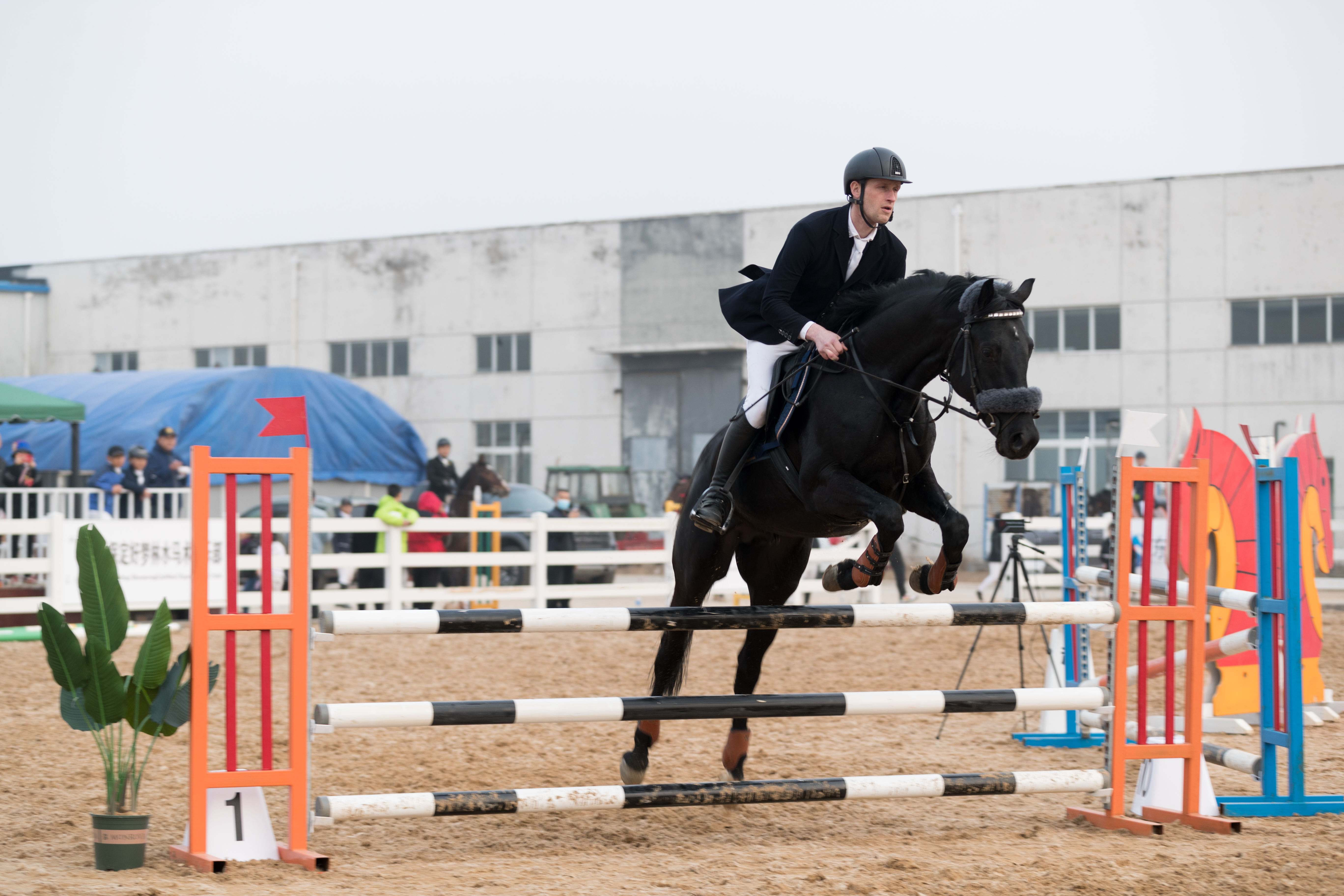 “骑聚津门驰越九洲”大奖赛暨“星耀津门”马术积分赛完赛