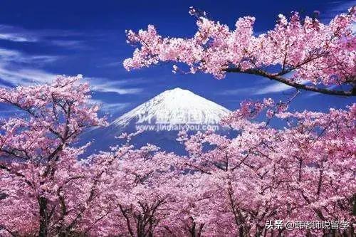 去日本留学需要兼职吗,日本留学兼职时间段