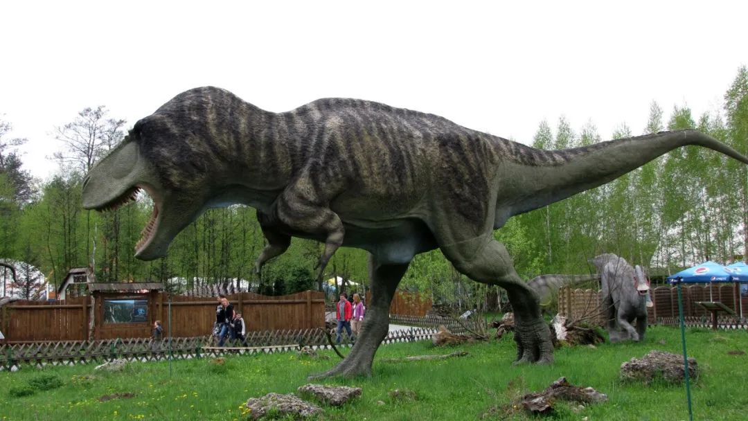 变形金刚中的十大变形恐龙,变形金刚4:绝迹重生机械恐龙