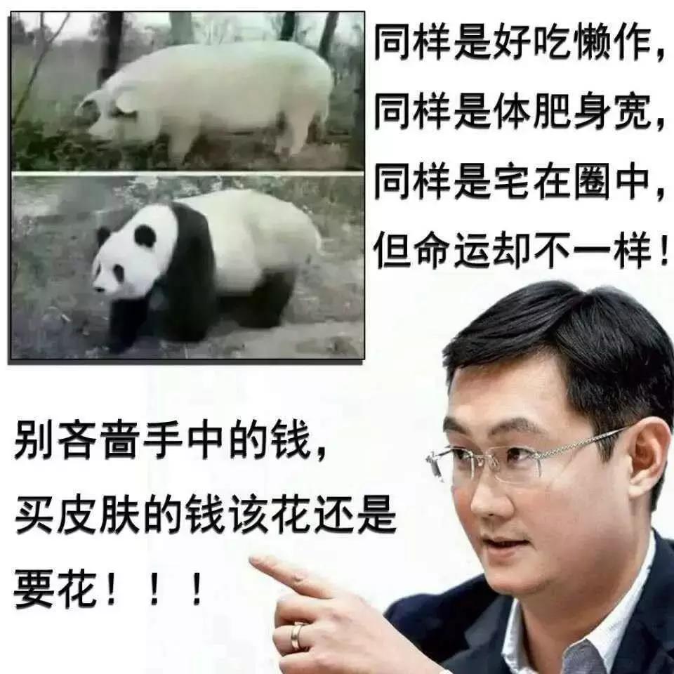 携号转网后号码销户归哪家运营商,携号转网了为啥原运营商号码还在