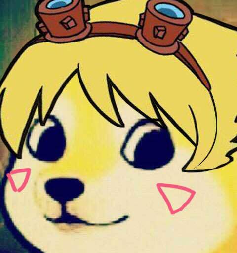 盘点lol里的奇葩名称,lol史上十大事件