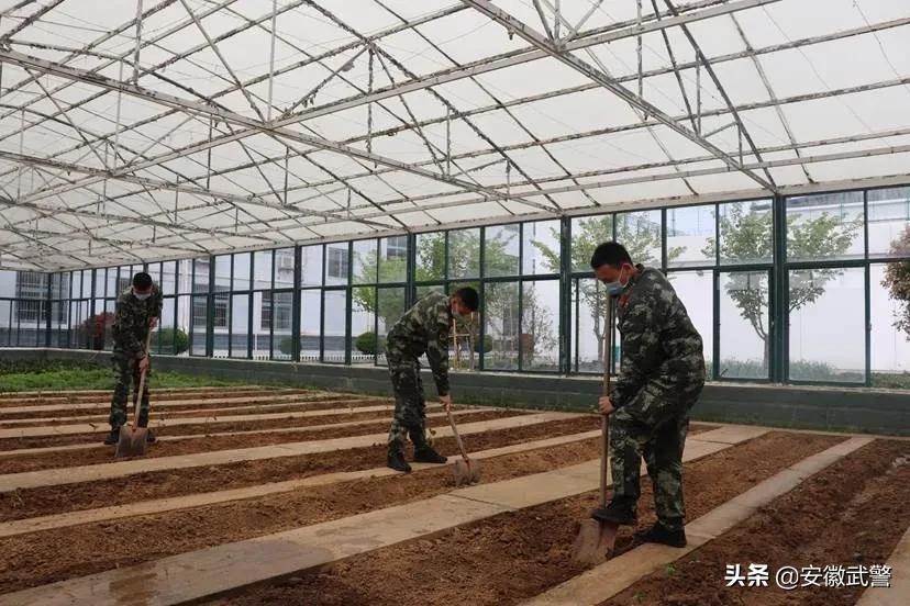 听说部队很“美”，到底“美”在哪？