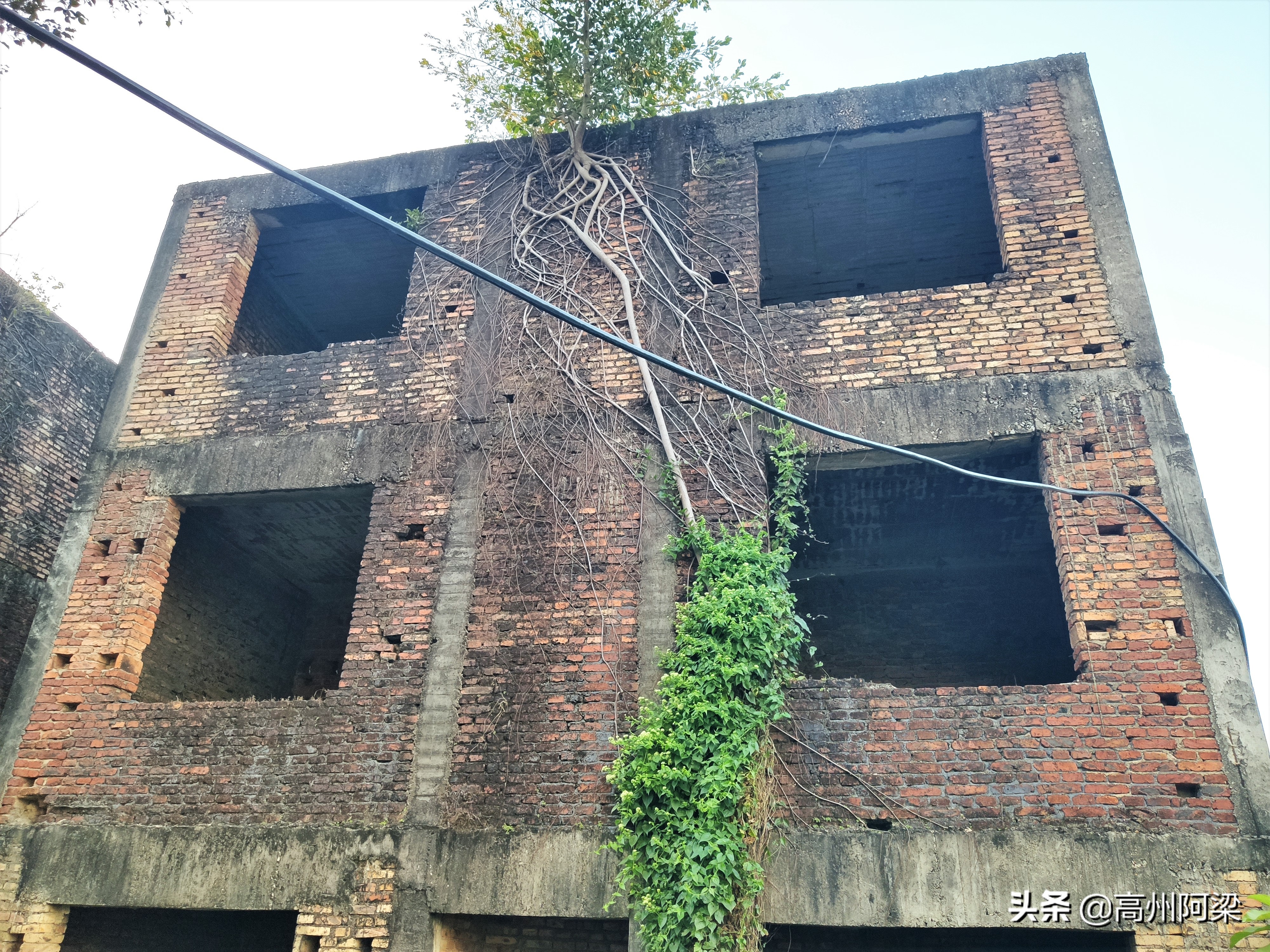 深圳半山腰富人区别墅,深圳闹市区烂尾别墅5万一楼