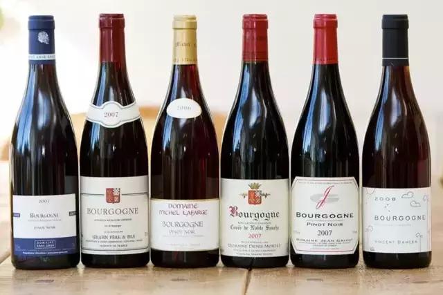 黑皮诺基本特点,讲解黑皮诺