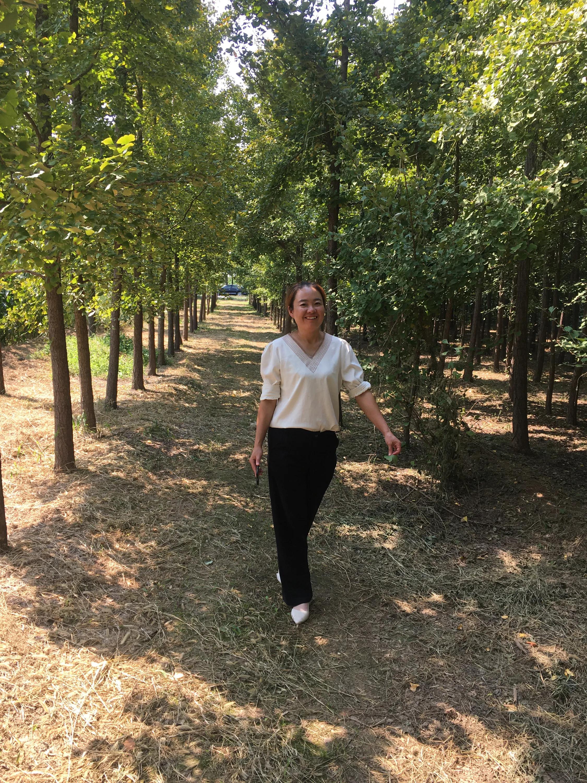 可爱的小猪儿歌,可爱的小猪佩奇一家