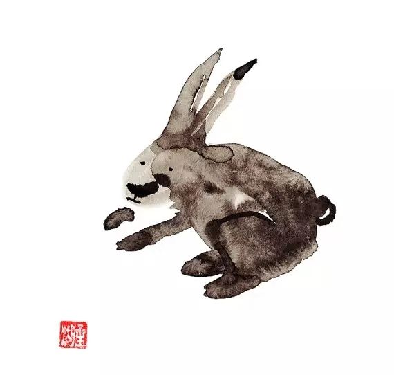 一起了解十二生肖的来历及意义,十二生肖的起源及简介