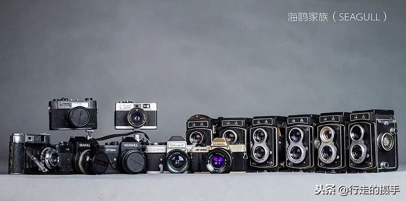 照相机排名前十名品牌,数码照相机哪个品牌最好