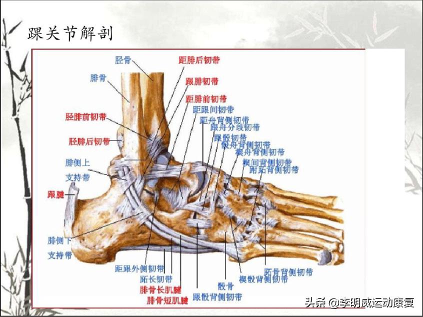 习惯性崴脚啥原因,习惯崴脚怎么办