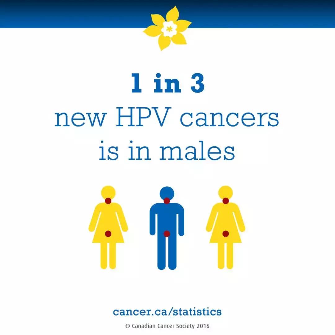 hpv疫苗跟宫颈癌疫苗有区别吗,hpv疫苗和宫颈癌疫苗的区别