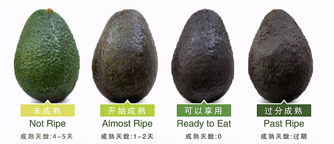 被吹上天的牛油果,被捧上天的三种保健品