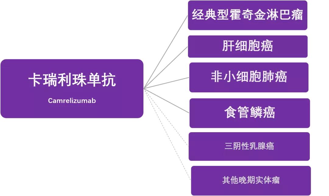 国产“广谱”抗癌药进入医保！PD-1到底能治什么病？