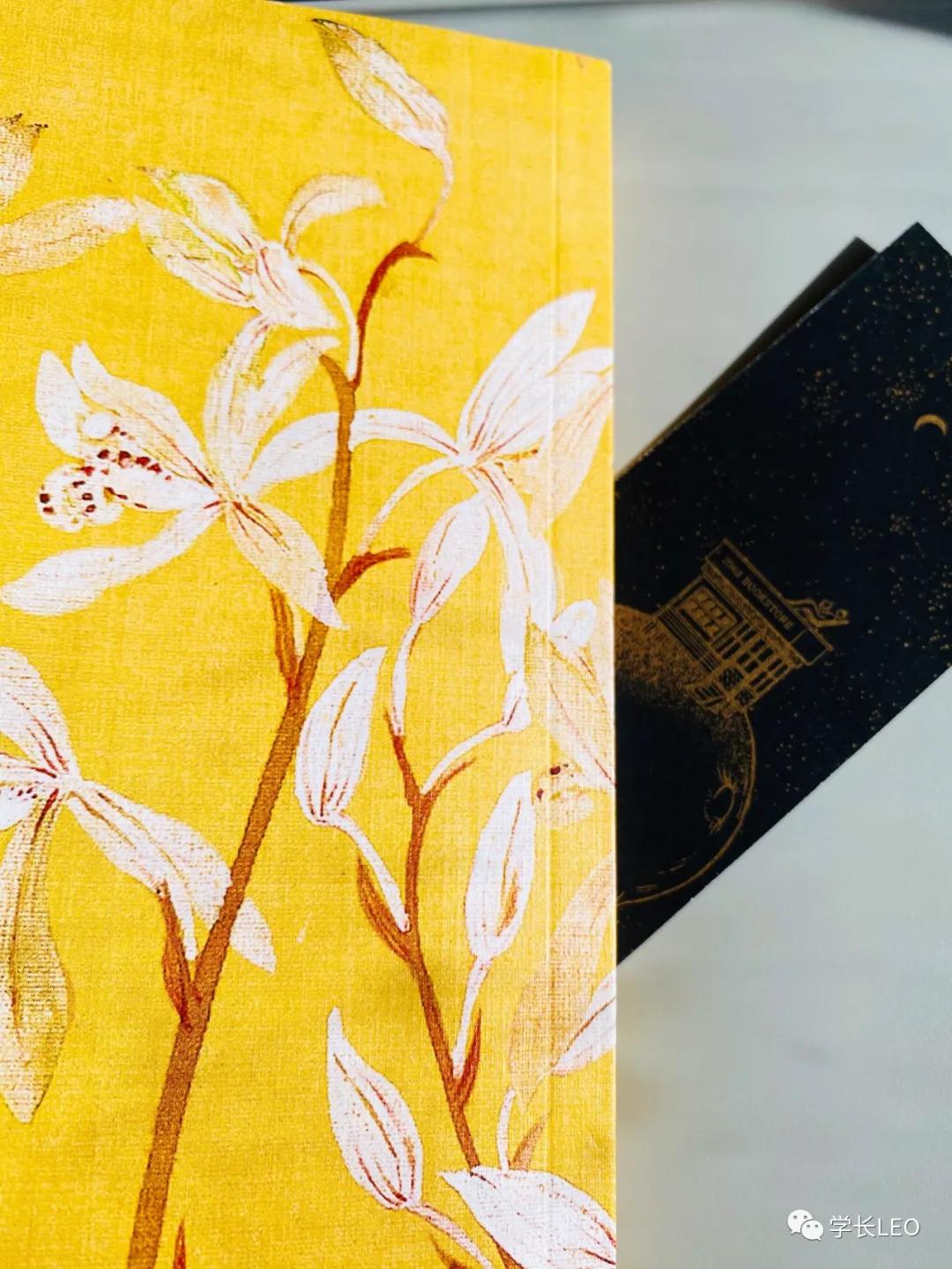 哈佛学长碎碎念：夏天就应该去海边，南方的海有多美？