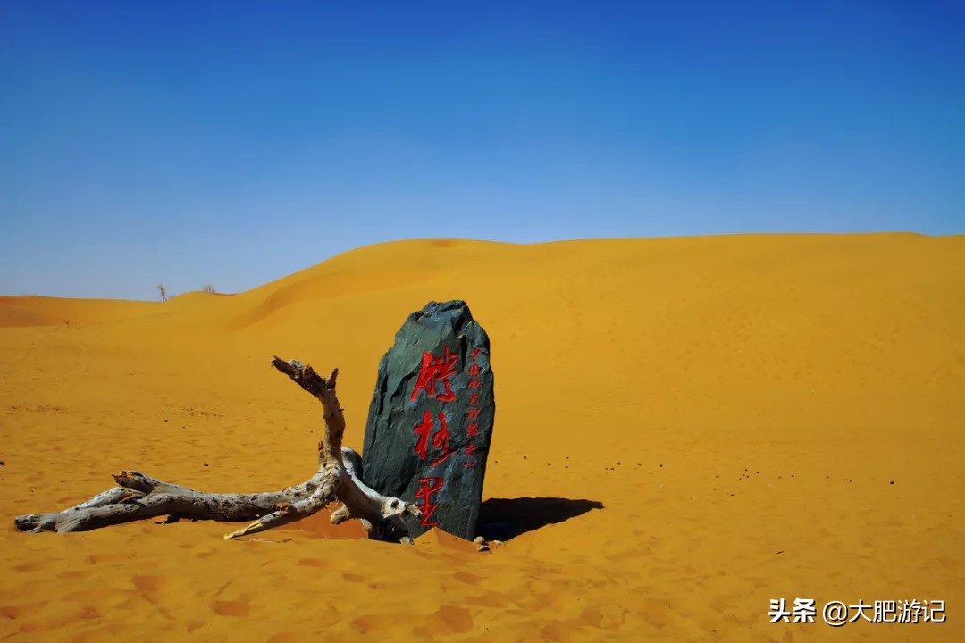 沙坡头一个人玩攻略,沙坡头去了还需要去腾格里吗