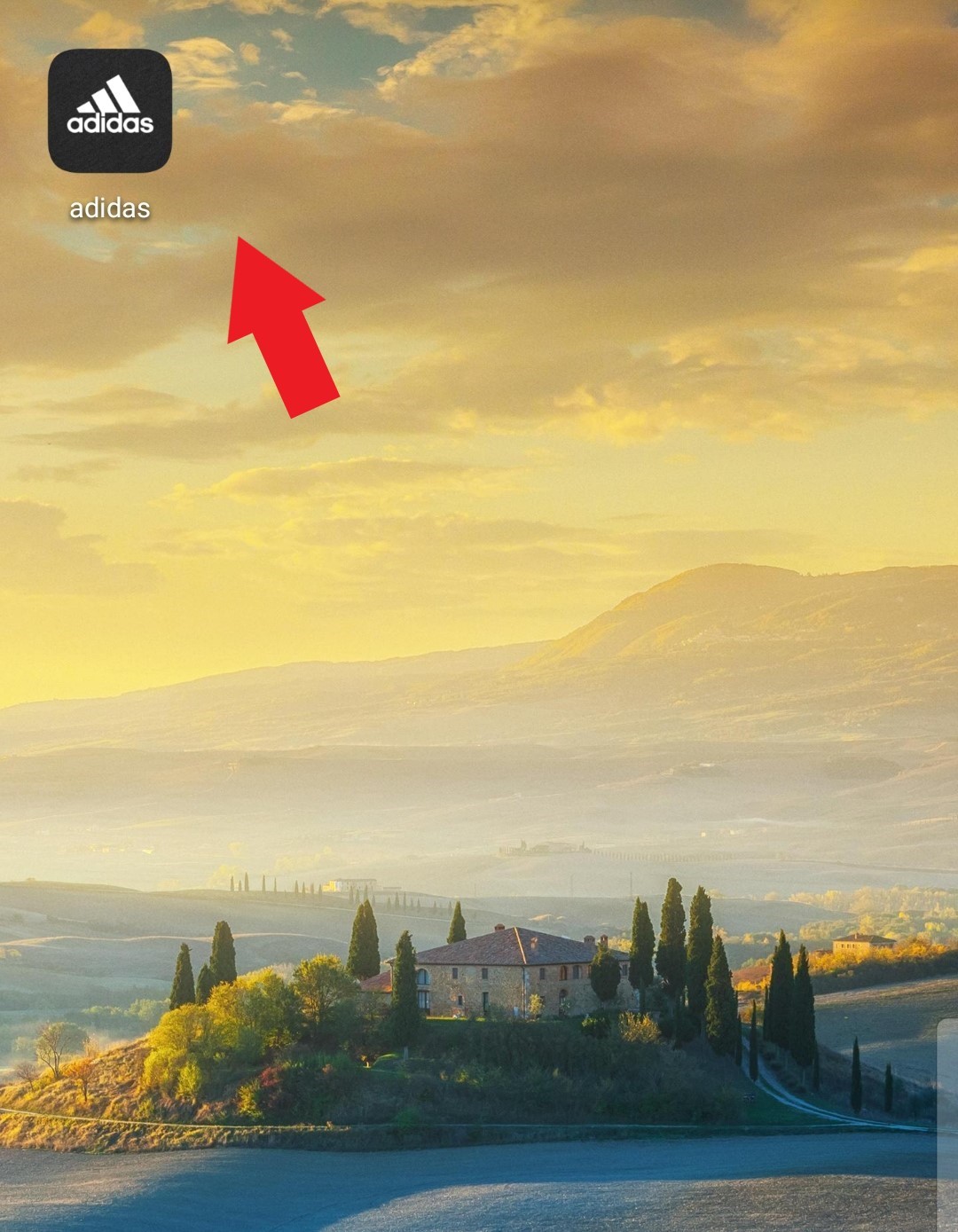 椰子yeezyboost350,椰子yeezy350白斑马