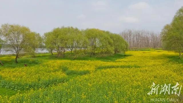 终于等到这一天！长沙酒吧、KTV、餐饮、商场，都可以去了！还有短程旅游，可以去这些地方！