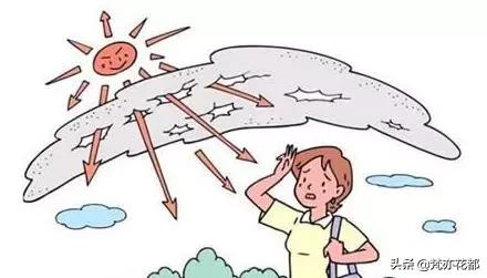 太阳晒斑最好的去除办法,夏天如何防止晒黑晒斑