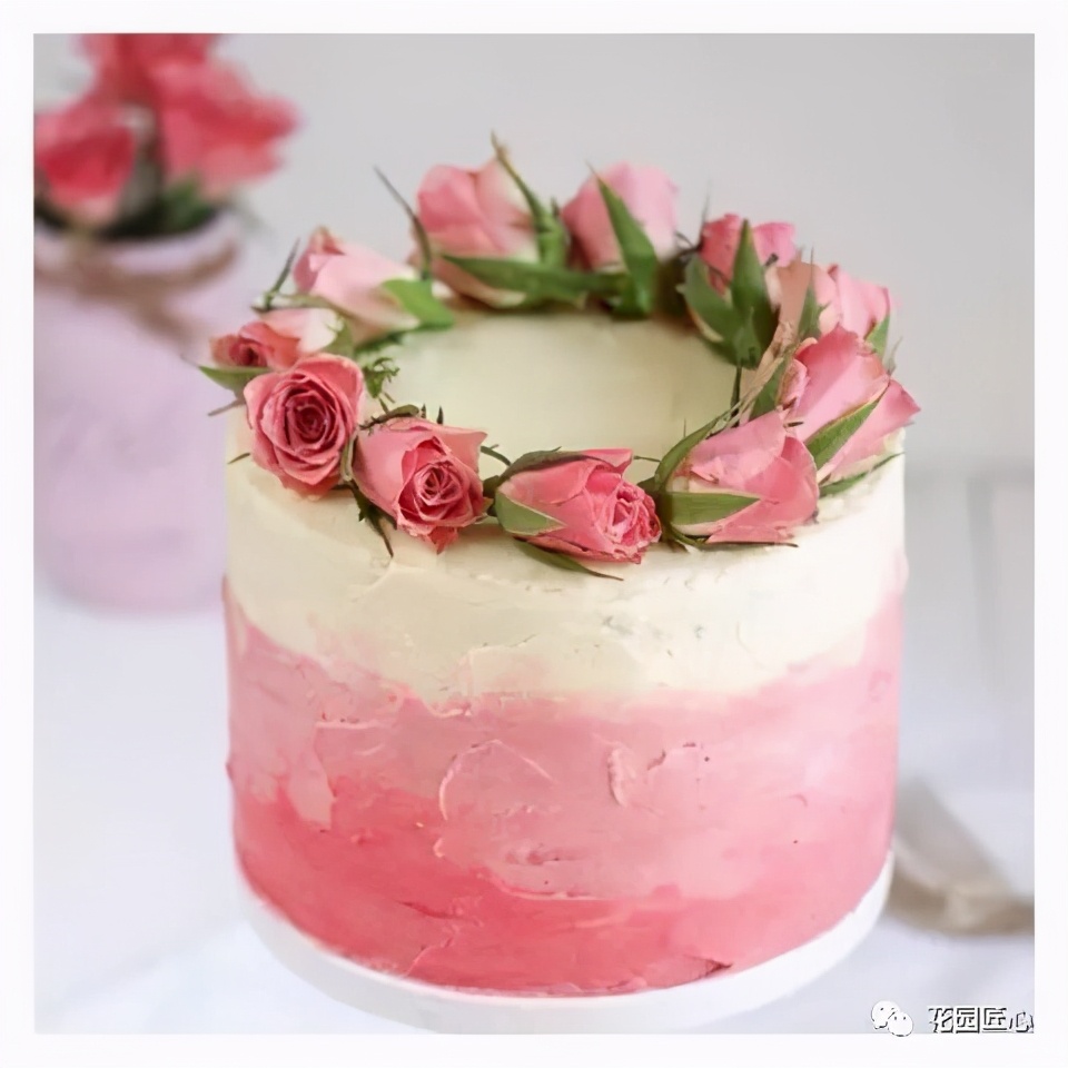 可以食用的花可制作的美食,100种可食用花的做法