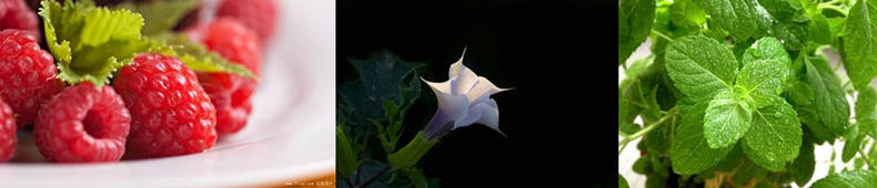 5款好闻到炸裂的香水,六款一定要买的香水香水控必入