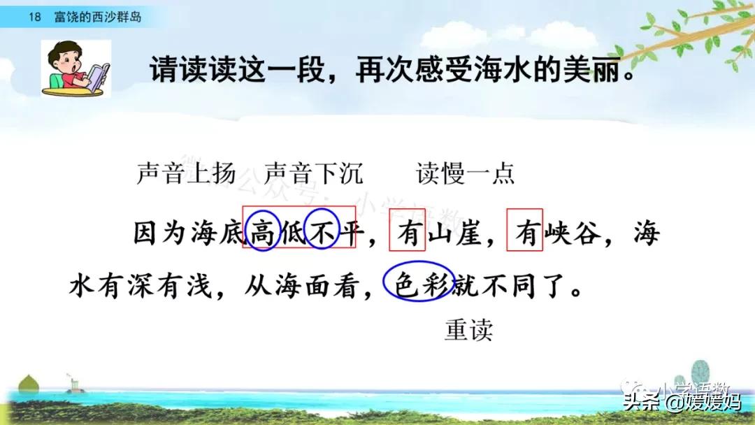 三年级第18课富饶的西沙群岛视频,三年级上册18富饶的西沙群岛笔记