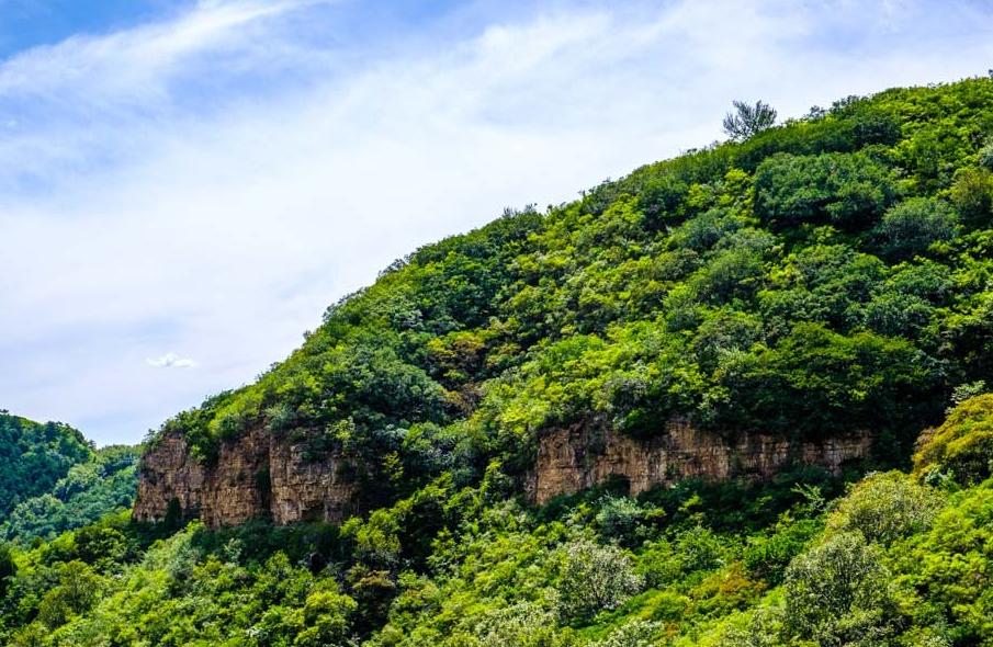 老象峰山简介,老象峰旅游攻略