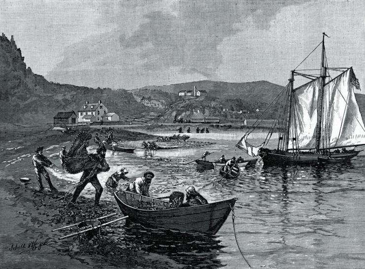 毛皮贸易与北美早期历史发展,毛皮贸易与北美殖民地的发展