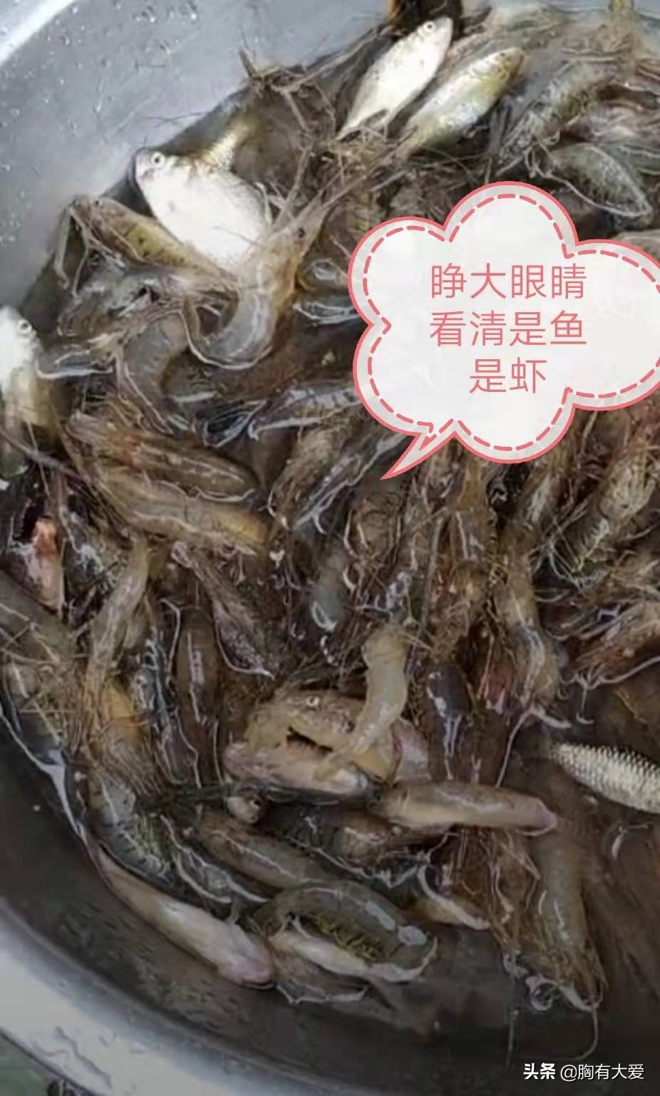 怎么判断肺水肿的轻重,肺肿哪里会疼