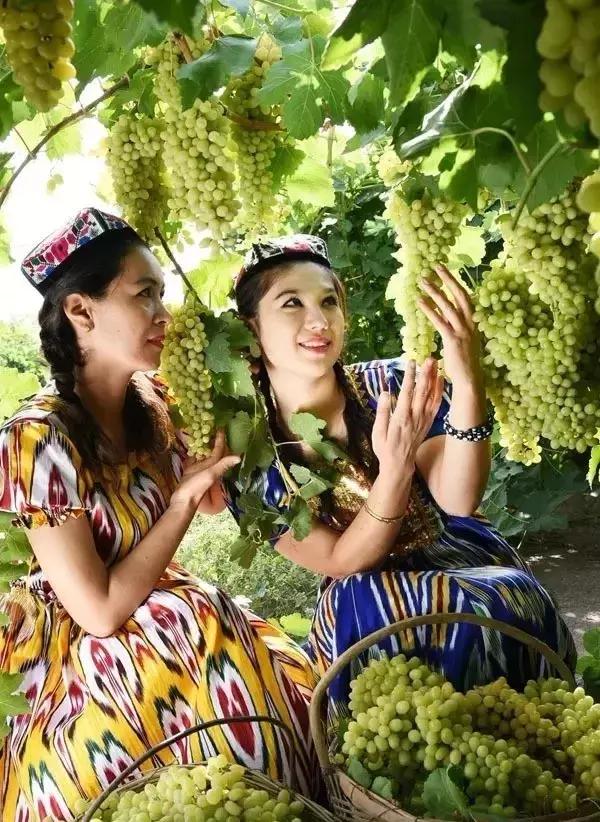 *疆新**瓜果地图?开吃