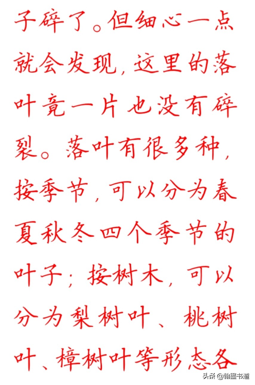 徐志摩散文落叶读后感,徐志摩的散文落叶经典图片