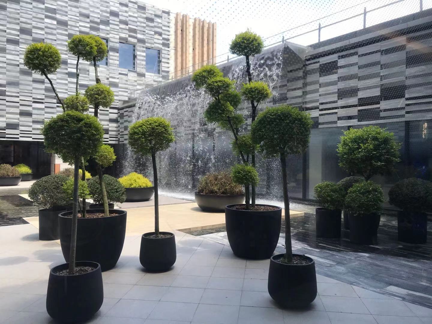 宁波阪急真实视频,宁波阪急最新视频