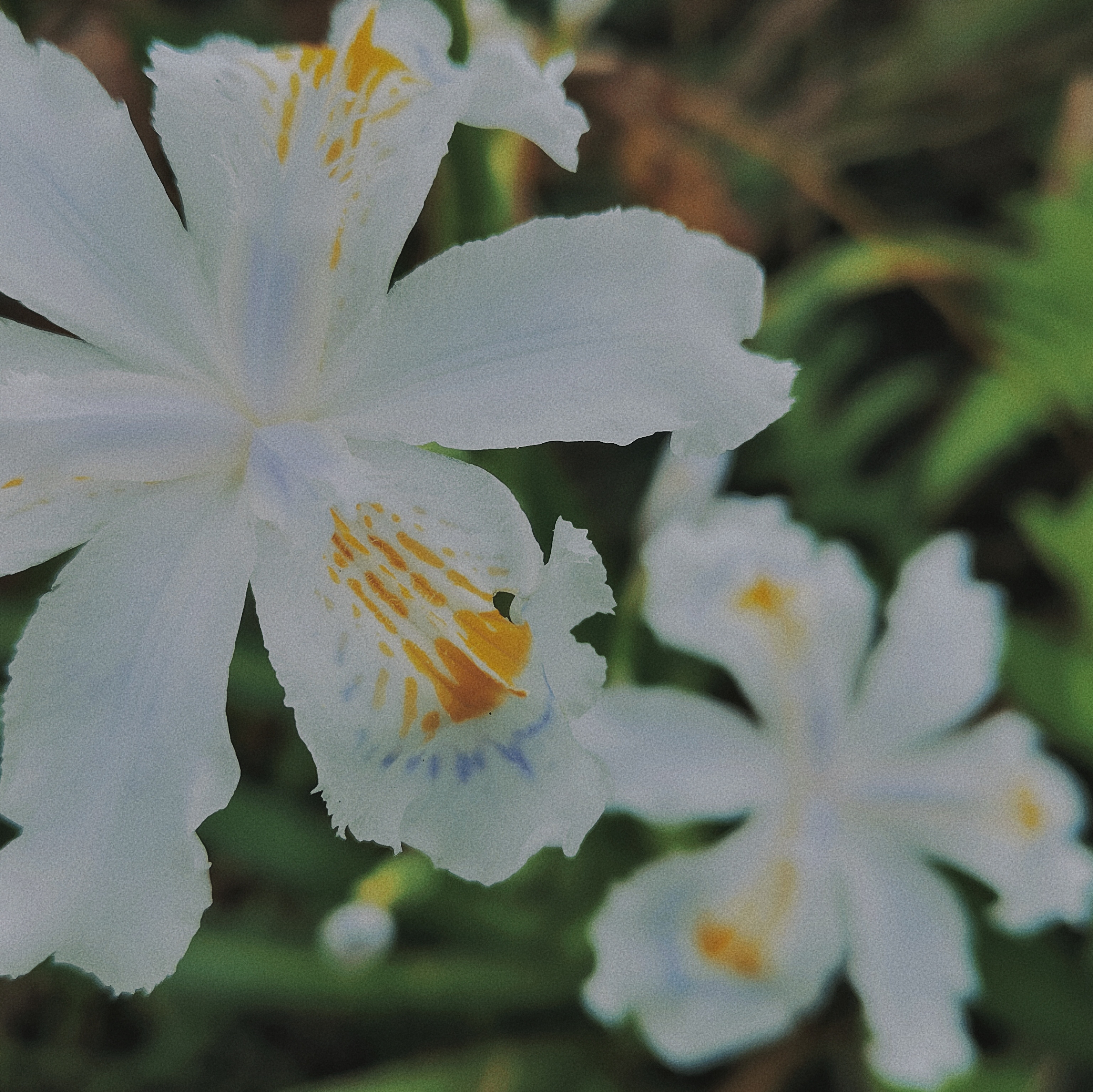 写给小王的随笔,小王的日记100字