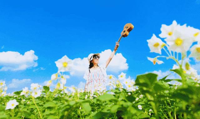 榆林牡丹园,榆林千年牡丹园